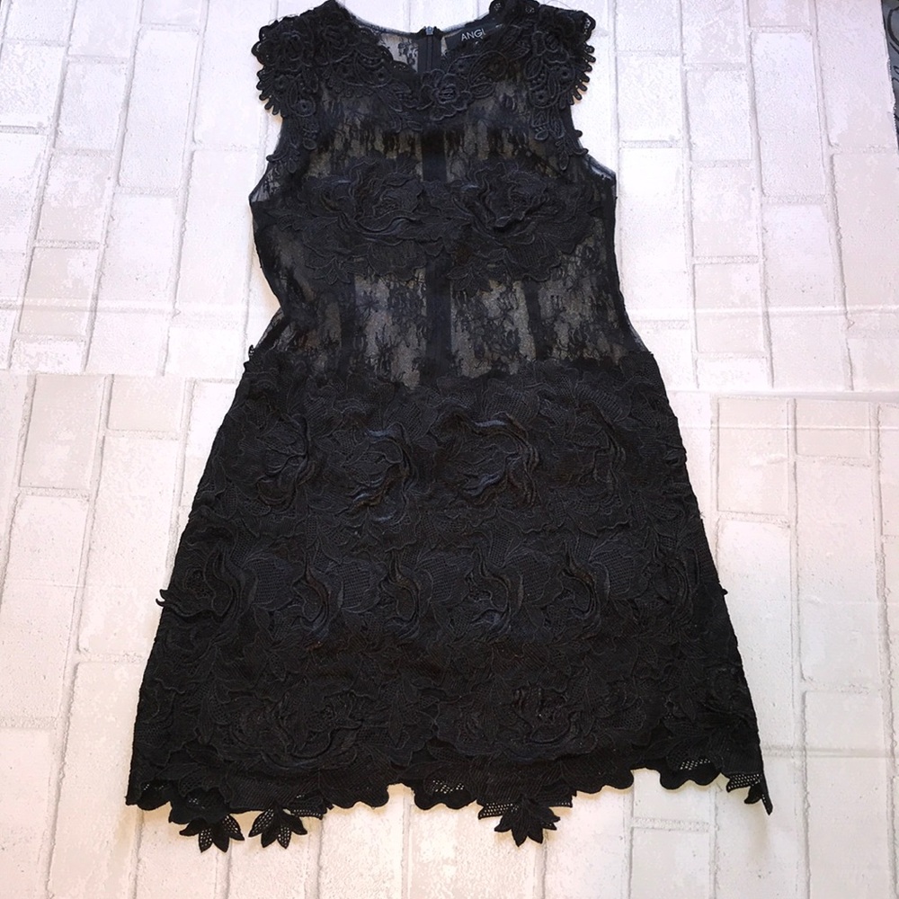 ANGL BLACK LACE MININ DRESS
